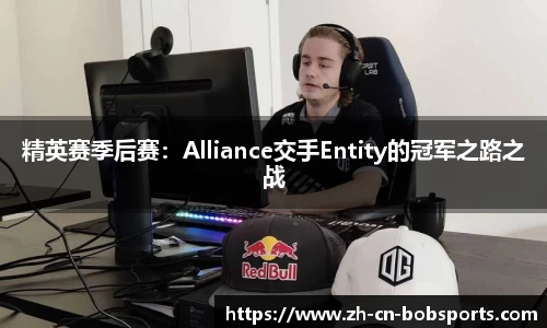 精英赛季后赛：Alliance交手Entity的冠军之路之战